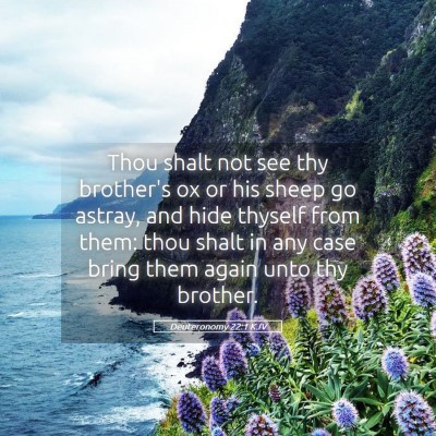 Picture 05 - Deuteronomy 22:1 KJV - Thou shalt not see thy brother's ox or his sheep - Bible Verse Picture