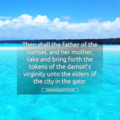 Picture 05 - Deuteronomy 22:15 KJV - Then shall the father of the damsel, and her - Bible Verse Picture