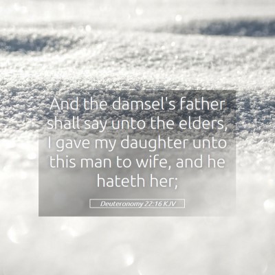 Picture 05 - Deuteronomy 22:16 KJV - And the damsel's father shall say unto the - Bible Verse Picture
