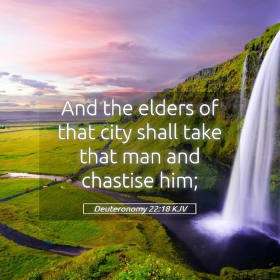 Picture 05 - Deuteronomy 22:18 KJV - And the elders of that city shall take that man - Bible Verse Picture