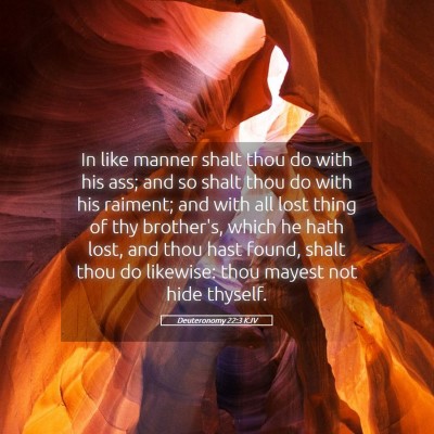 Picture 05 - Deuteronomy 22:3 KJV - In like manner shalt thou do with his ass; and so - Bible Verse Picture