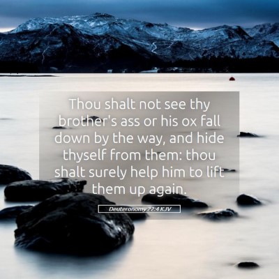 Picture 05 - Deuteronomy 22:4 KJV - Thou shalt not see thy brother's ass or his ox - Bible Verse Picture