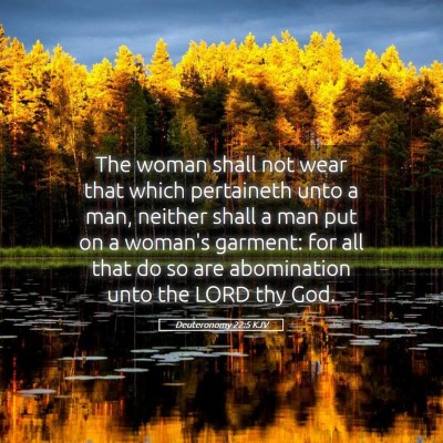 Picture 05 - Deuteronomy 22:5 KJV - The woman shall not wear that which pertaineth - Bible Verse Picture