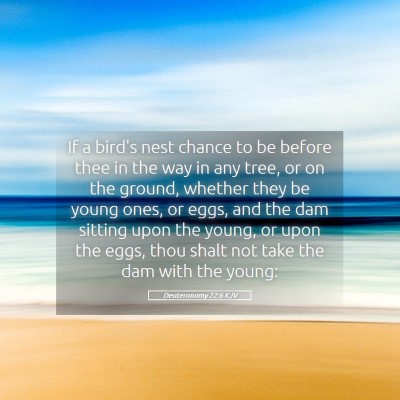 Picture 05 - Deuteronomy 22:6 KJV - If a bird's nest chance to be before thee in the - Bible Verse Picture