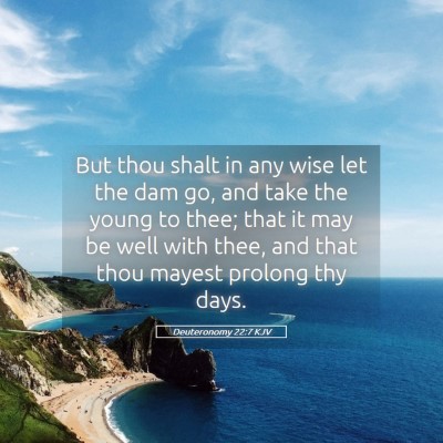 Picture 05 - Deuteronomy 22:7 KJV - But thou shalt in any wise let the dam go, and - Bible Verse Picture