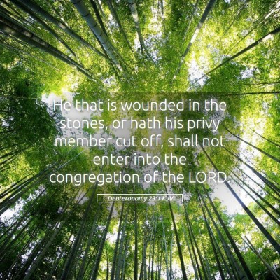 Picture 05 - Deuteronomy 23:1 KJV - He that is wounded in the stones, or hath his - Bible Verse Picture