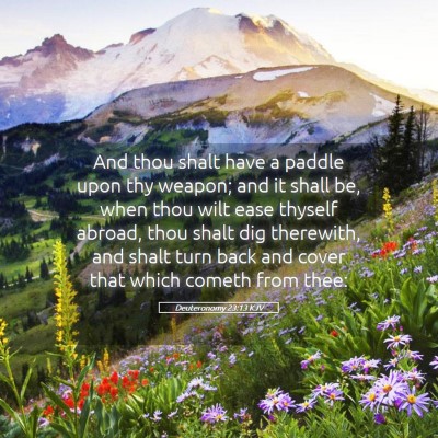 Picture 05 - Deuteronomy 23:13 KJV - And thou shalt have a paddle upon thy weapon; and - Bible Verse Picture
