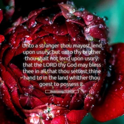 Picture 05 - Deuteronomy 23:20 KJV - Unto a stranger thou mayest lend upon usury; but - Bible Verse Picture