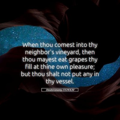 Picture 05 - Deuteronomy 23:24 KJV - When thou comest into thy neighbor's vineyard, - Bible Verse Picture