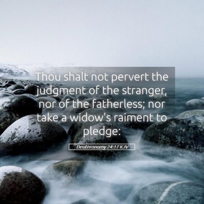 Picture 05 - Deuteronomy 24:17 KJV - Thou shalt not pervert the judgment of the - Bible Verse Picture