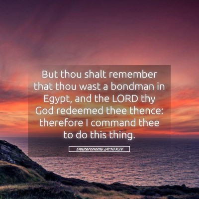 Picture 05 - Deuteronomy 24:18 KJV - But thou shalt remember that thou wast a bondman - Bible Verse Picture