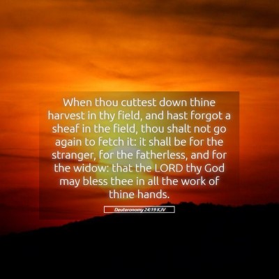 Picture 05 - Deuteronomy 24:19 KJV - When thou cuttest down thine harvest in thy - Bible Verse Picture