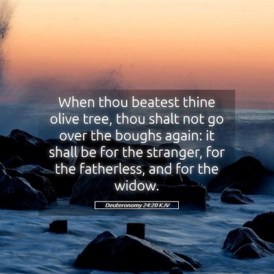 Picture 05 - Deuteronomy 24:20 KJV - When thou beatest thine olive tree, thou shalt - Bible Verse Picture