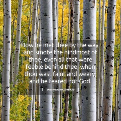 Picture 05 - Deuteronomy 25:18 KJV - How he met thee by the way, and smote the - Bible Verse Picture