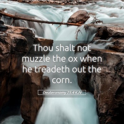 Picture 05 - Deuteronomy 25:4 KJV - Thou shalt not muzzle the ox when he treadeth out - Bible Verse Picture