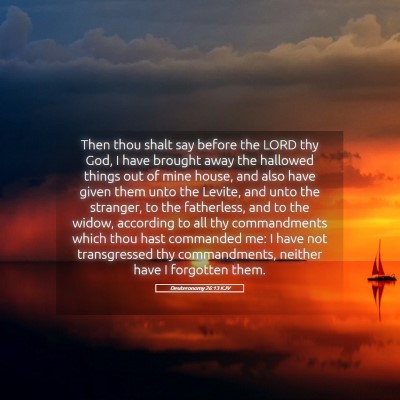 Picture 05 - Deuteronomy 26:13 KJV - Then thou shalt say before the LORD thy God, I - Bible Verse Picture