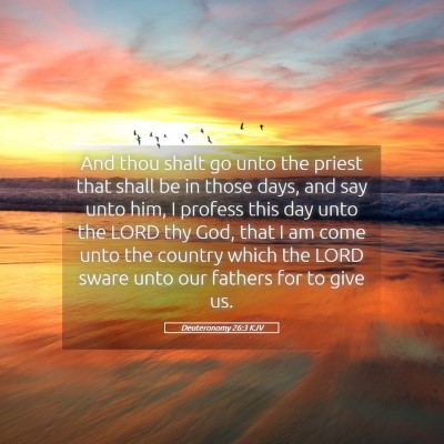 Picture 05 - Deuteronomy 26:3 KJV - And thou shalt go unto the priest that shall be - Bible Verse Picture