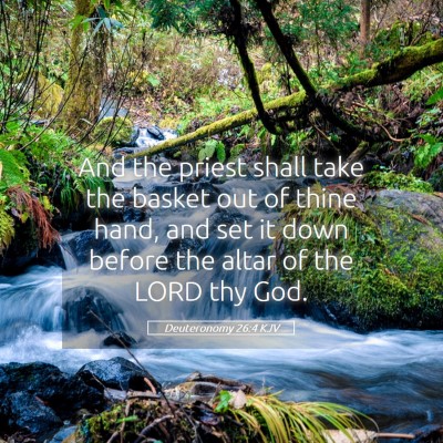 Picture 05 - Deuteronomy 26:4 KJV - And the priest shall take the basket out of thine - Bible Verse Picture