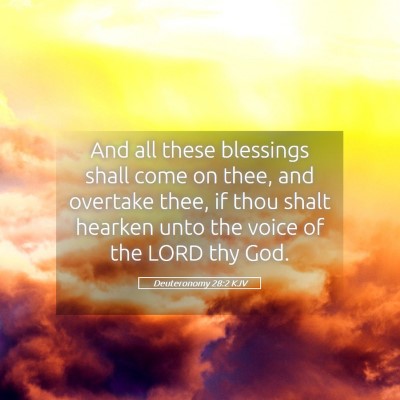 Picture 05 - Deuteronomy 28:2 KJV - And all these blessings shall come on thee, and - Bible Verse Picture