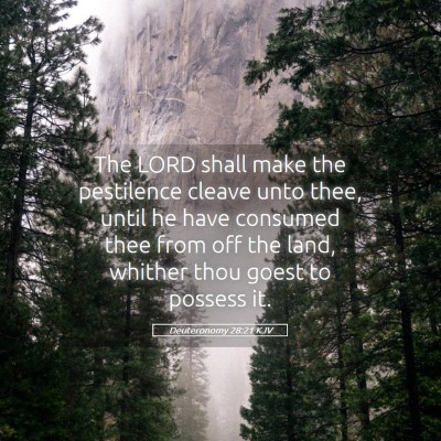 Picture 05 - Deuteronomy 28:21 KJV - The LORD shall make the pestilence cleave unto - Bible Verse Picture