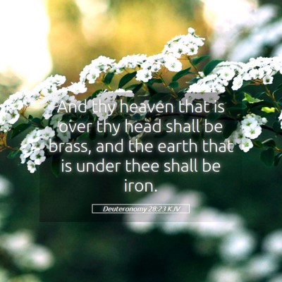 Picture 05 - Deuteronomy 28:23 KJV - And thy heaven that is over thy head shall be - Bible Verse Picture
