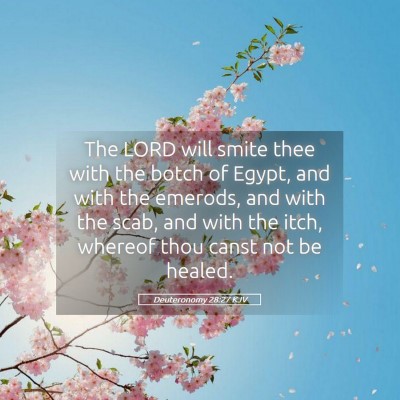Picture 05 - Deuteronomy 28:27 KJV - The LORD will smite thee with the botch of Egypt, - Bible Verse Picture