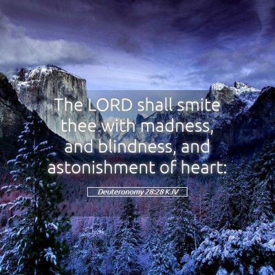 Picture 05 - Deuteronomy 28:28 KJV - The LORD shall smite thee with madness, and - Bible Verse Picture