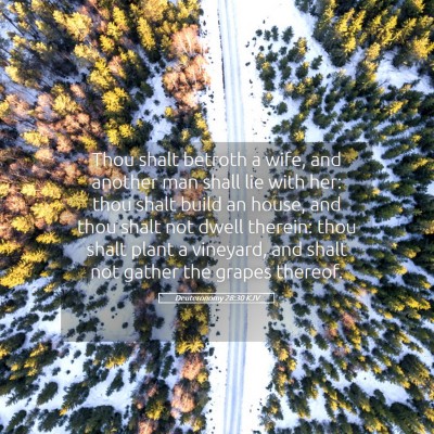 Picture 05 - Deuteronomy 28:30 KJV - Thou shalt betroth a wife, and another man shall - Bible Verse Picture