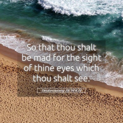 Picture 05 - Deuteronomy 28:34 KJV - So that thou shalt be mad for the sight of thine - Bible Verse Picture