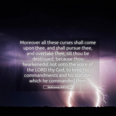 Picture 05 - Deuteronomy 28:45 KJV - Moreover all these curses shall come upon thee, - Bible Verse Picture