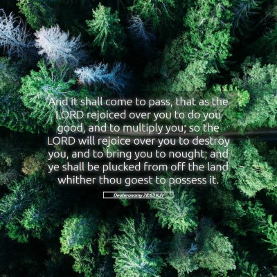 Picture 05 - Deuteronomy 28:63 KJV - And it shall come to pass, that as the LORD - Bible Verse Picture