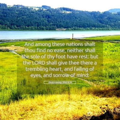 Picture 05 - Deuteronomy 28:65 KJV - And among these nations shalt thou find no ease, - Bible Verse Picture