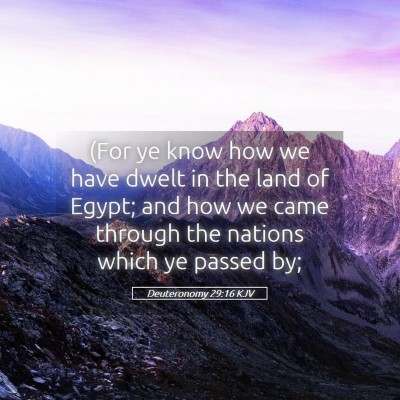 Picture 05 - Deuteronomy 29:16 KJV - (For ye know how we have dwelt in the land of - Bible Verse Picture