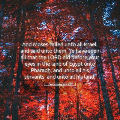 Picture 05 - Deuteronomy 29:2 KJV - And Moses called unto all Israel, and said unto - Bible Verse Picture
