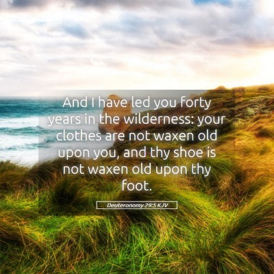 Picture 05 - Deuteronomy 29:5 KJV - And I have led you forty years in the wilderness: - Bible Verse Picture