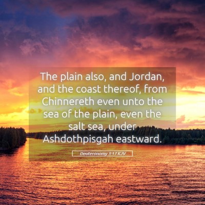 Picture 05 - Deuteronomy 3:17 KJV - The plain also, and Jordan, and the coast - Bible Verse Picture