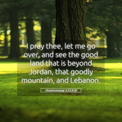 Picture 05 - Deuteronomy 3:25 KJV - I pray thee, let me go over, and see the good - Bible Verse Picture