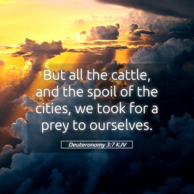 Picture 05 - Deuteronomy 3:7 KJV - But all the cattle, and the spoil of the cities, - Bible Verse Picture