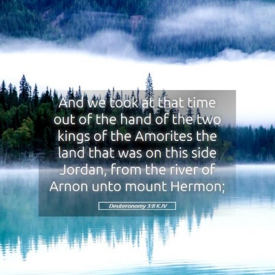 Picture 05 - Deuteronomy 3:8 KJV - And we took at that time out of the hand of the - Bible Verse Picture