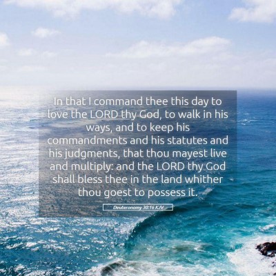 Picture 05 - Deuteronomy 30:16 KJV - In that I command thee this day to love the LORD - Bible Verse Picture