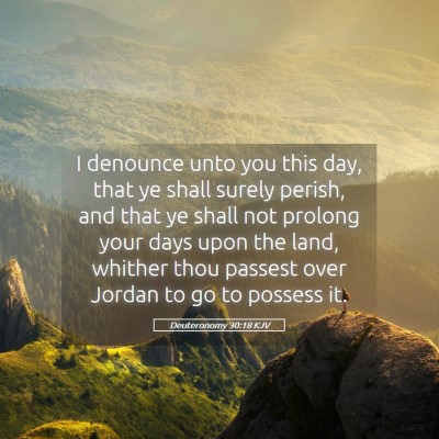 Picture 05 - Deuteronomy 30:18 KJV - I denounce unto you this day, that ye shall - Bible Verse Picture