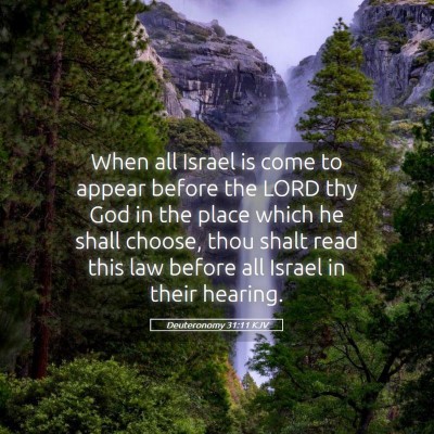 Picture 05 - Deuteronomy 31:11 KJV - When all Israel is come to appear before the LORD - Bible Verse Picture