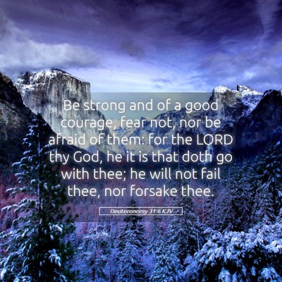 Picture 05 - Deuteronomy 31:6 KJV - Be strong and of a good courage, fear not, nor be - Bible Verse Picture