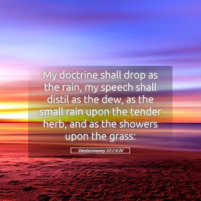 Picture 05 - Deuteronomy 32:2 KJV - My doctrine shall drop as the rain, my speech - Bible Verse Picture