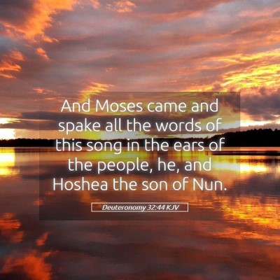 Picture 05 - Deuteronomy 32:44 KJV - And Moses came and spake all the words of this - Bible Verse Picture