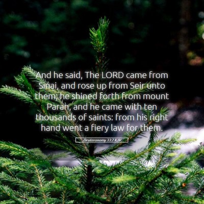 Picture 05 - Deuteronomy 33:2 KJV - And he said, The LORD came from Sinai, and rose - Bible Verse Picture