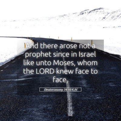 Picture 05 - Deuteronomy 34:10 KJV - And there arose not a prophet since in Israel - Bible Verse Picture