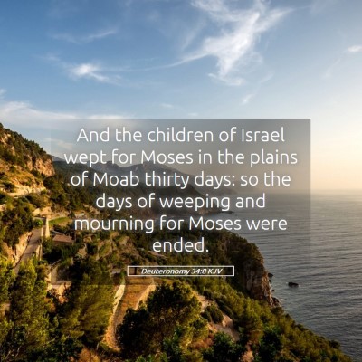Picture 05 - Deuteronomy 34:8 KJV - And the children of Israel wept for Moses in the - Bible Verse Picture