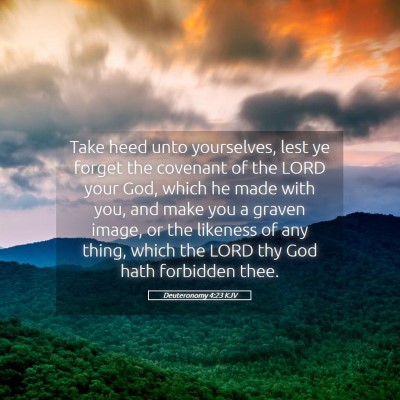 Picture 05 - Deuteronomy 4:23 KJV - Take heed unto yourselves, lest ye forget the - Bible Verse Picture