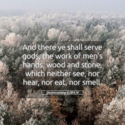 Picture 05 - Deuteronomy 4:28 KJV - And there ye shall serve gods, the work of men's - Bible Verse Picture